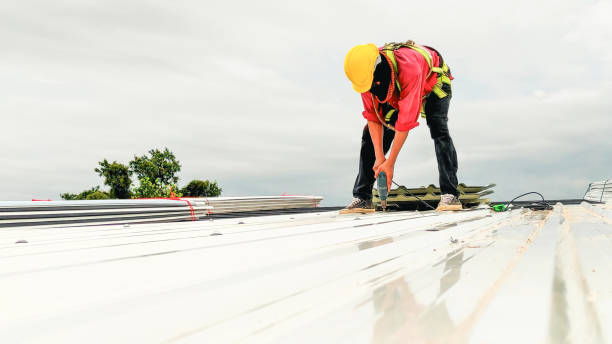 Best Roof Moss and Algae Removal  in Beverly Hills, CA